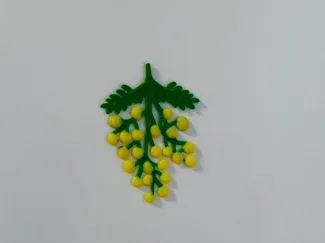 mimosa magnet