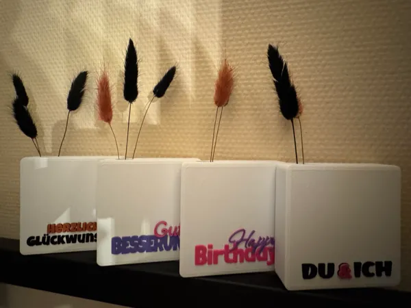 https://makerworld.bblmw.com/makerworld/model/US94bb3a4c8e465e/design/9afcfa76c2f20757.jpeg