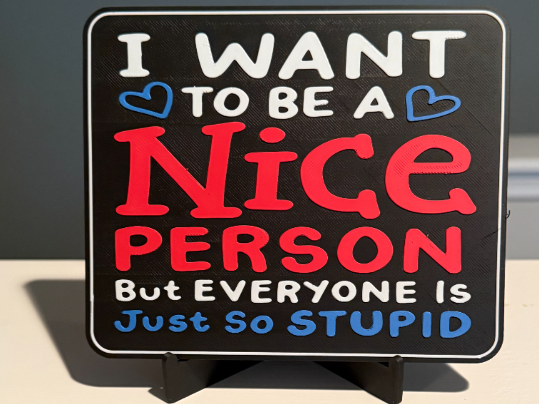 I WANT TO BE A NICE PERSON BUT EVERYONE IS JUST SO