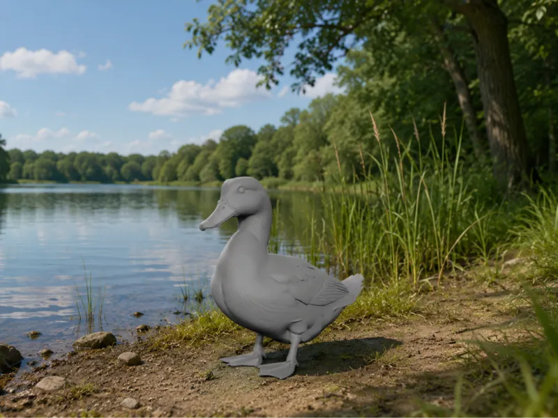 Duck