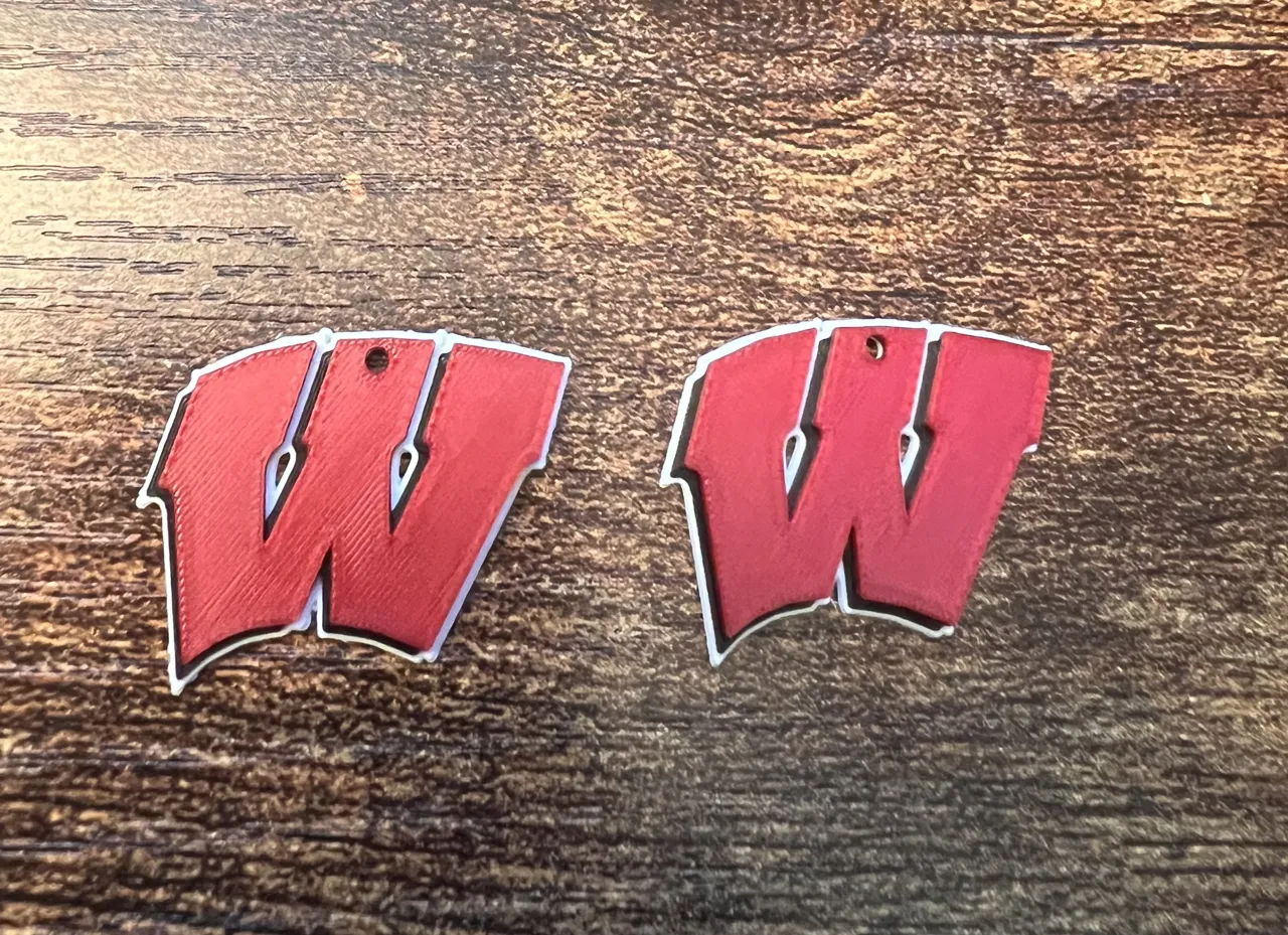 Universities of Wisconsin - Earrings view 2