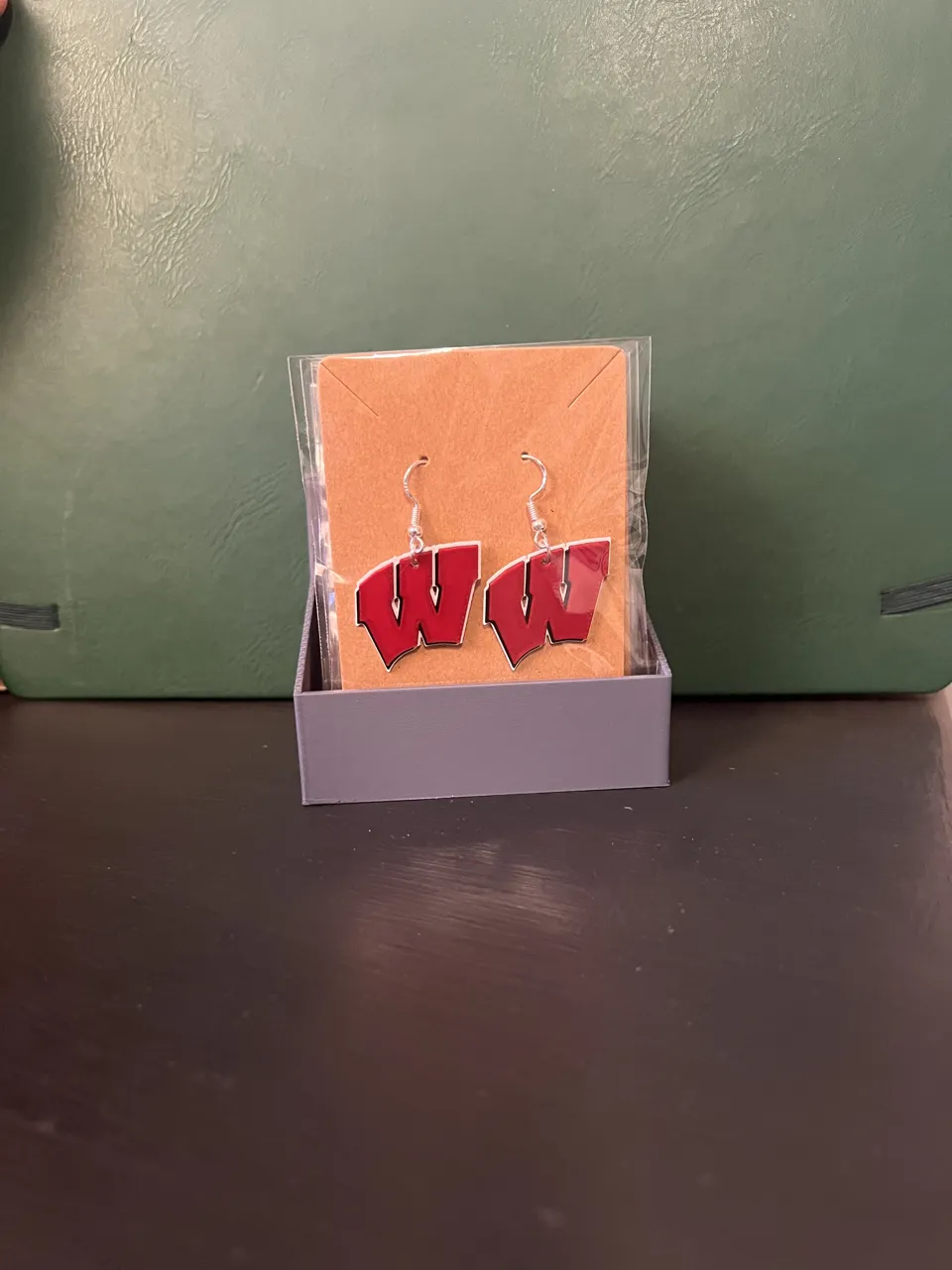 Universities of Wisconsin - Earrings view 3