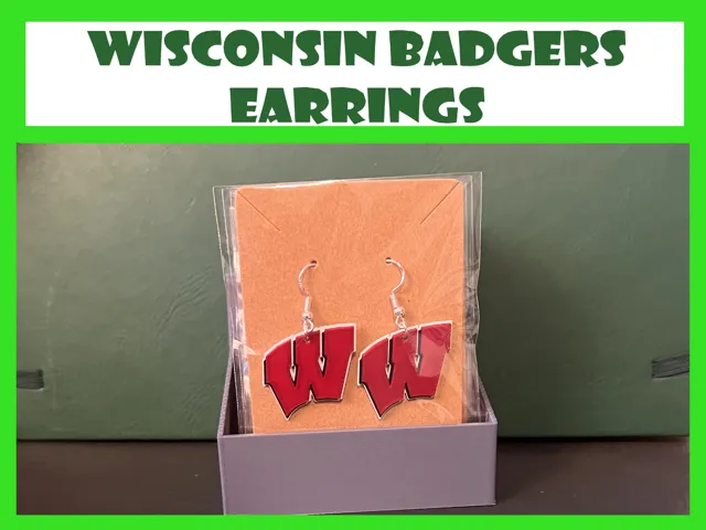 Universities of Wisconsin - Earrings