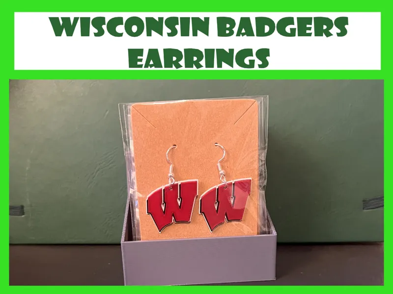 Universities of Wisconsin - Earrings 