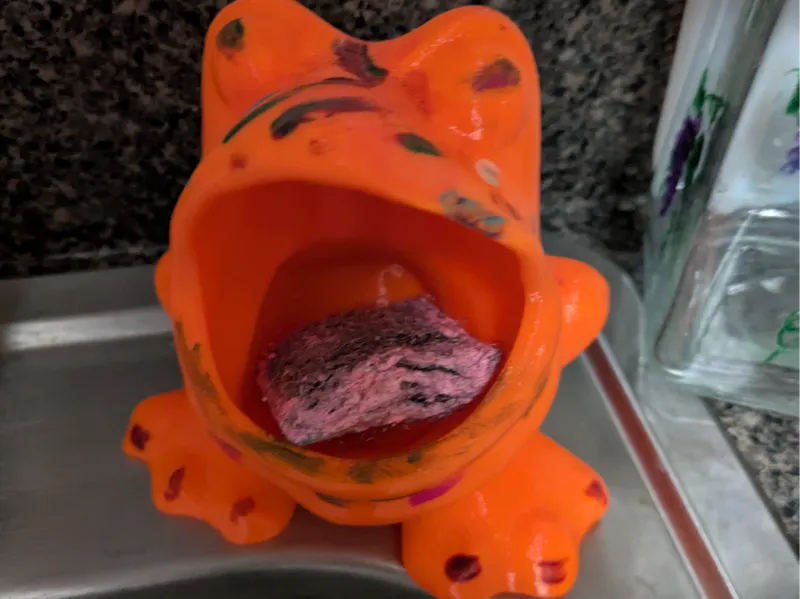 Frog Scrub holder