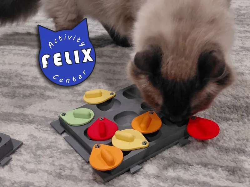 The Swivels - FELIX Activity Center
