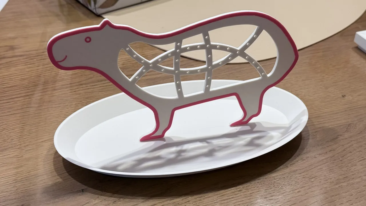 Capybara Schmuckhalter -Ohrstecker,Ringe & Ketten view 4
