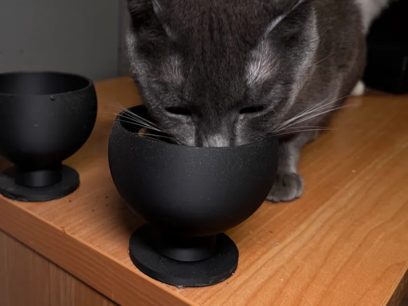 Cat Bowl with Detachable Base