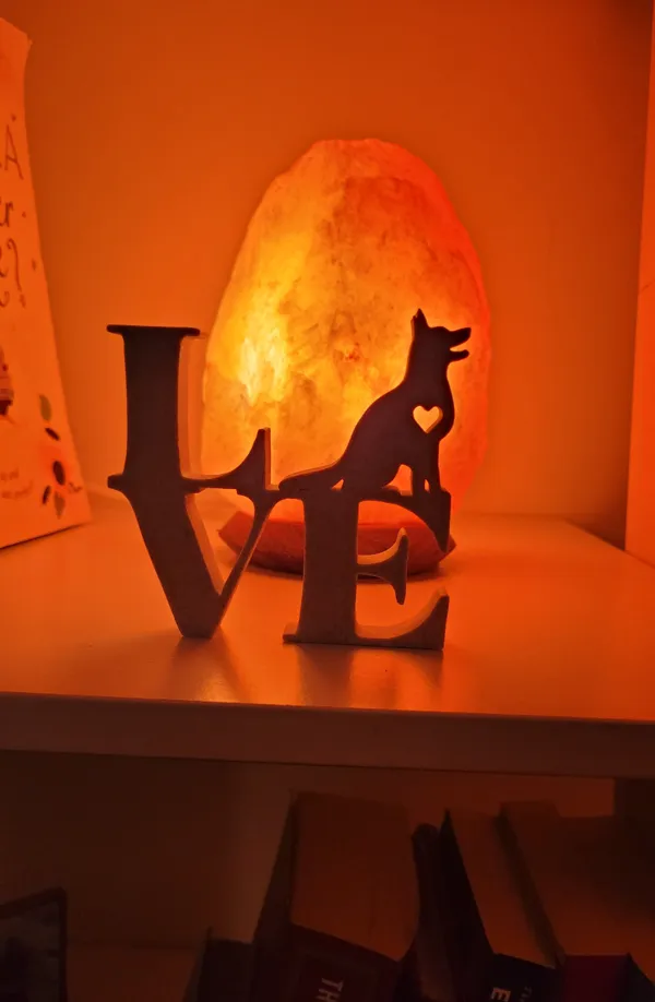 https://makerworld.bblmw.com/makerworld/model/US94cd5f83999ca6/design/2023-12-27_da3c9bf3f9204.jpg