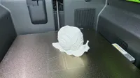 0.2mm layer, 2 walls, 10% infill PETG