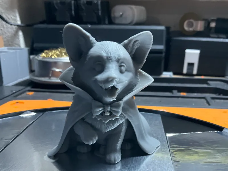 Dracula Corgi Model