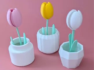 ミニチュアチューリップの鉢植え