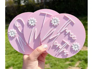 Baby Milestone Discs