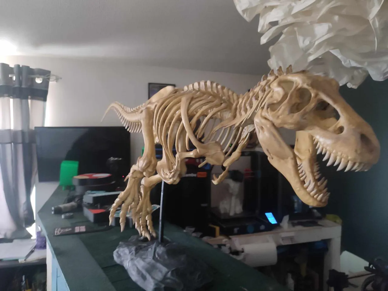 T-Rex view 2