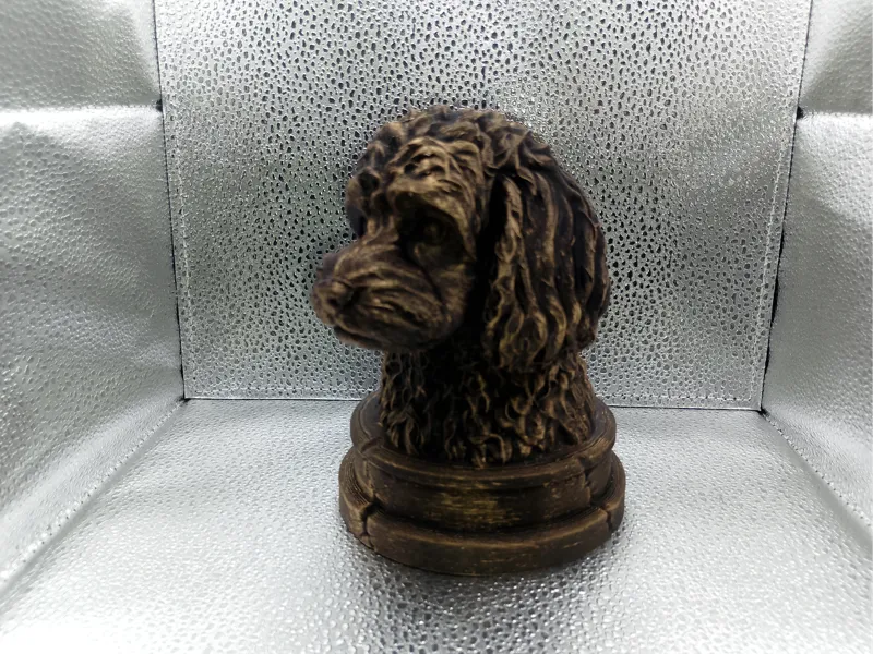 Cavoodle Bust