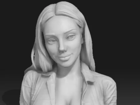 https://makerworld.bblmw.com/makerworld/model/US94e368c359ed17/design/77c1e0db62ecc6d1.png