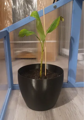 Fast Print 9in (228mm) Planter with Drainage