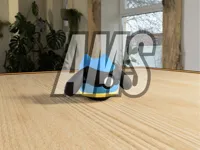 AMS Profile