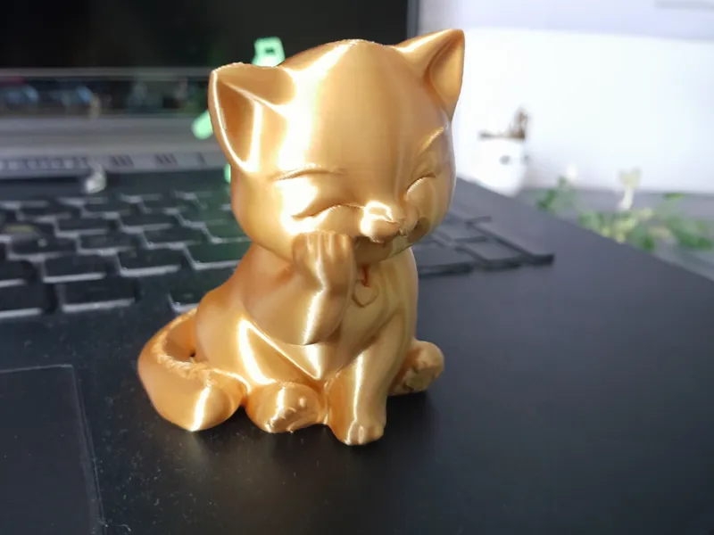 Asian kitten