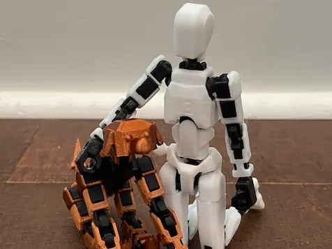 https://makerworld.bblmw.com/makerworld/model/US94eec8bd6d11f5/design/2024-11-03_d2011c8c33dae.jpg