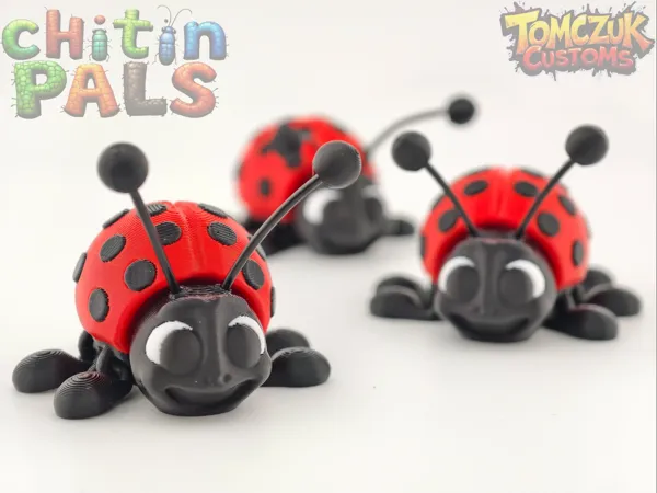 https://makerworld.bblmw.com/makerworld/model/US94ef8863a635d0/design/2025-02-02_e397dacf6e9cc.png