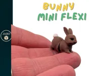 Bunny Mini Flexi