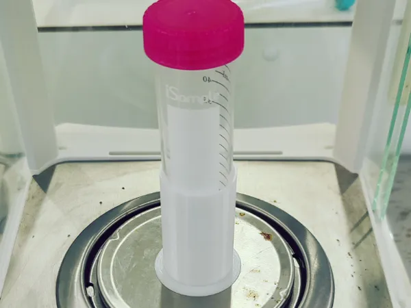 https://makerworld.bblmw.com/makerworld/model/US94f5f3ab3eb1fa/design/2025-06-04_f65b201432cb58.jpg