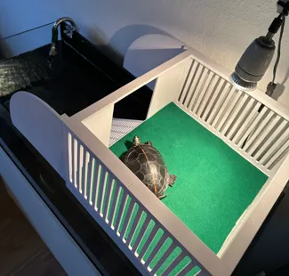Land Area for Aquatic Turtles
