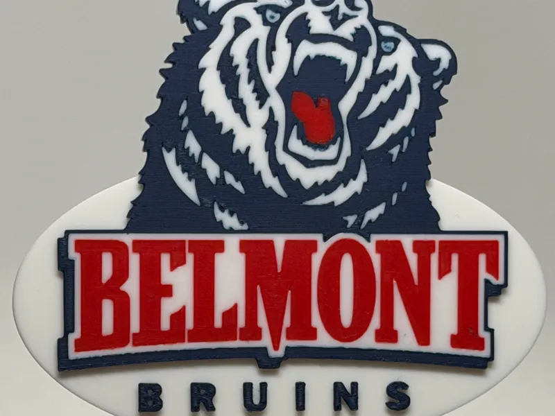 Belmont Bruins Cake Topper
