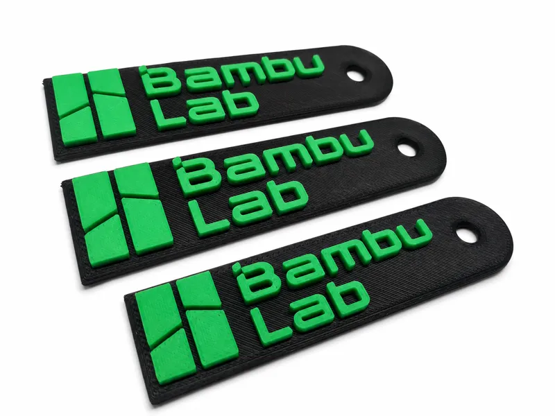 Bambu Lab 3D Logo Keychain