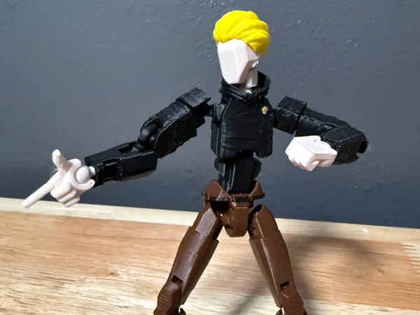 https://makerworld.bblmw.com/makerworld/model/US9500aa56d6e436/design/0677c6a290def246.jpg