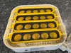 Maticoopx 20 Medium Egg Tray Insert