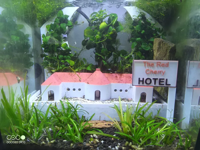 Aquarium decor with air filter