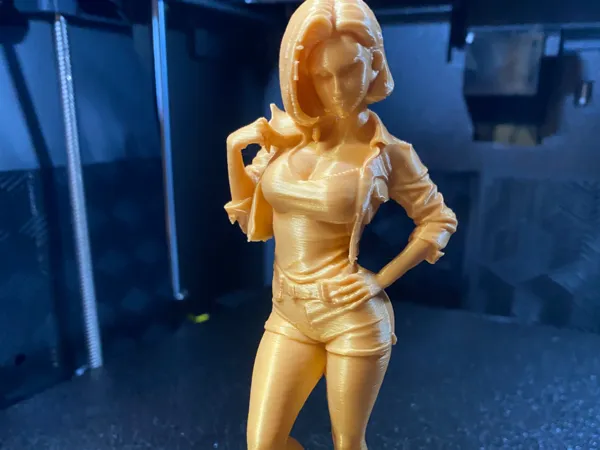 https://makerworld.bblmw.com/makerworld/model/US95039d77c037ce/design/117d8d365bb55d9d.jpg