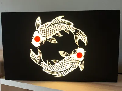 light box carpa koi