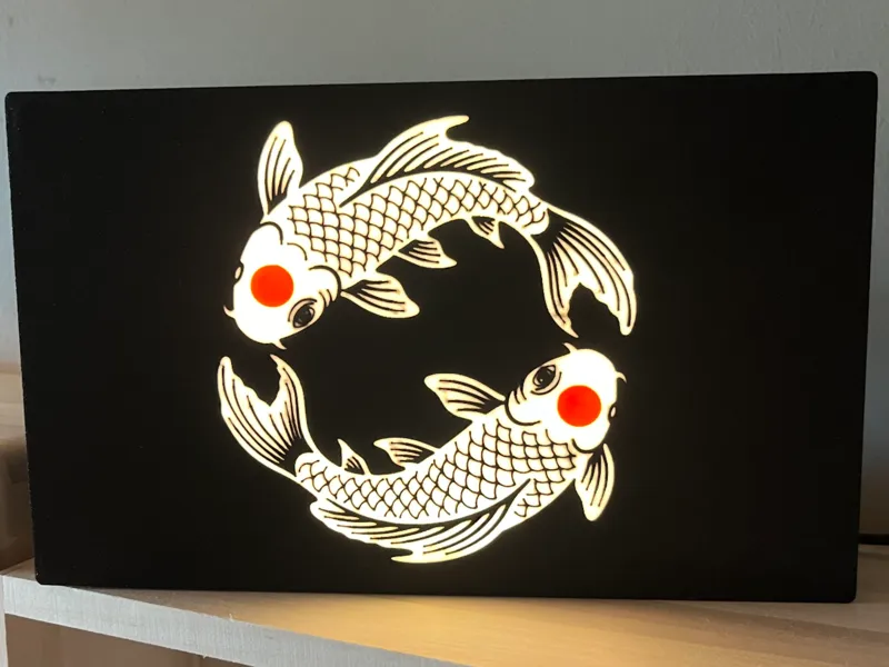 light box carpa koi