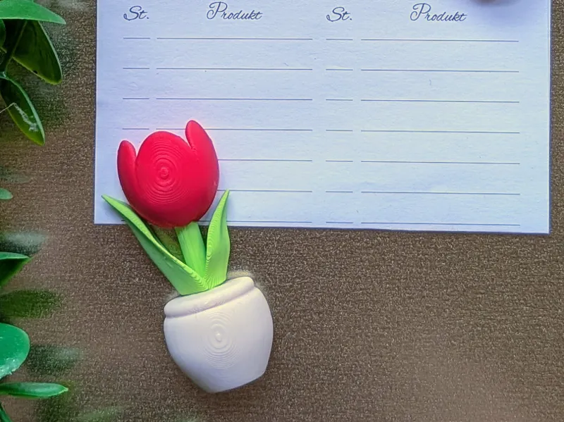 Tulip magnet