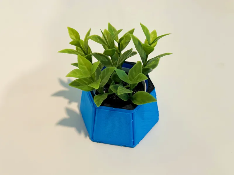 Planter Kit Card