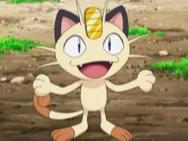meowth guy