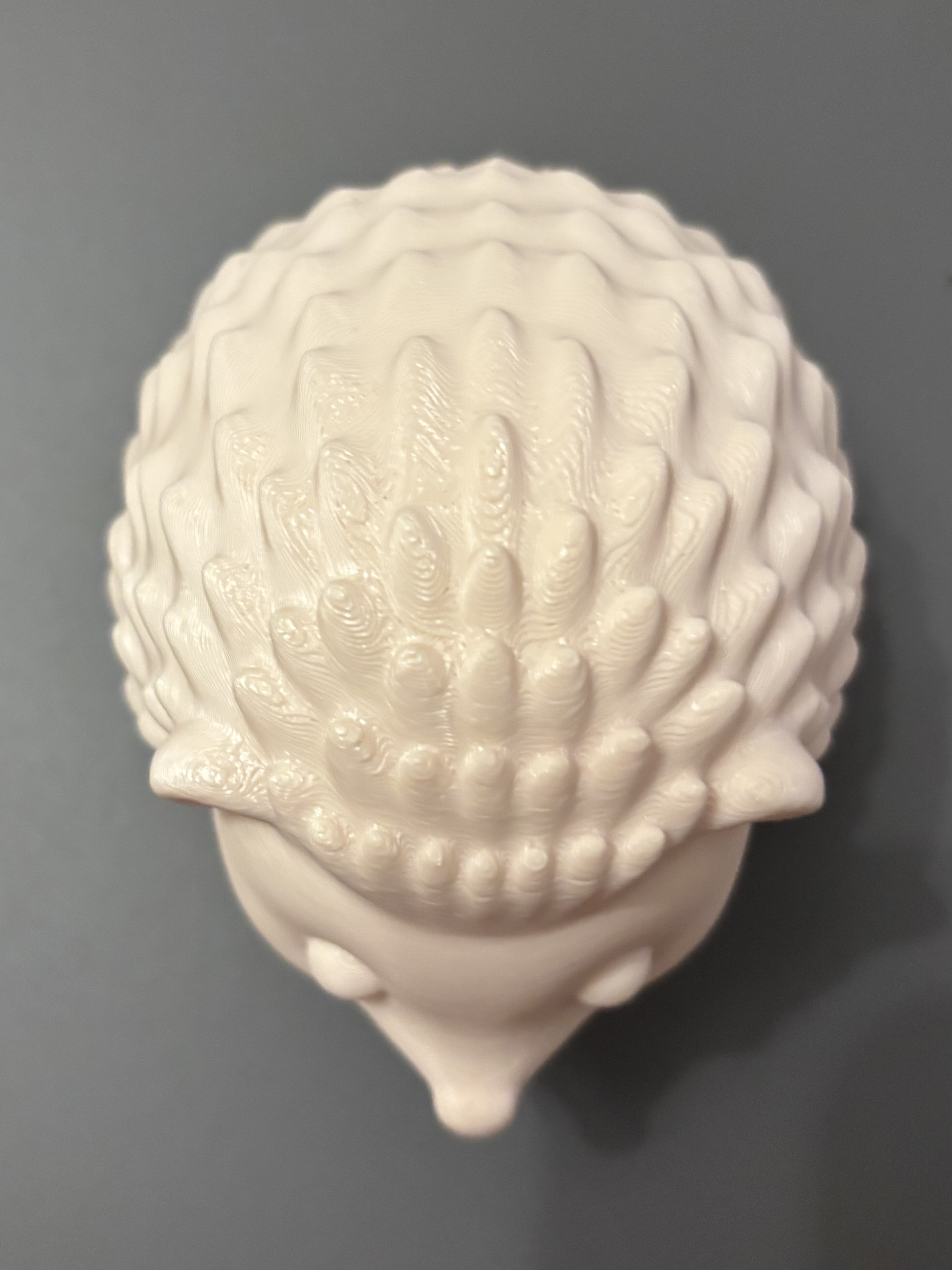 Miniatura 3 do modelo 3D Hedgehog Buddy
