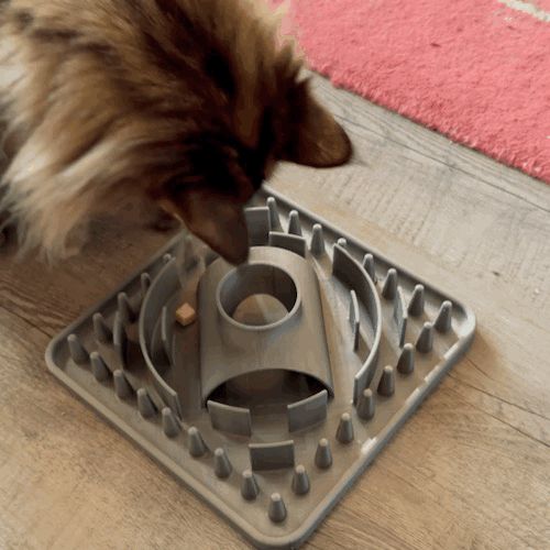 Cat Activity Feeder Board