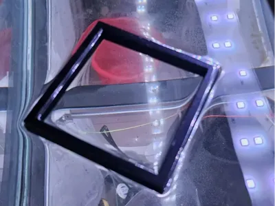 Aquarium Suspended Feeding Ring