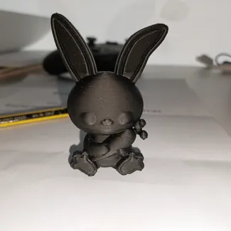 Bunny