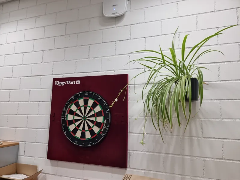 "Darti" Flowerpot for Wall Camouflage