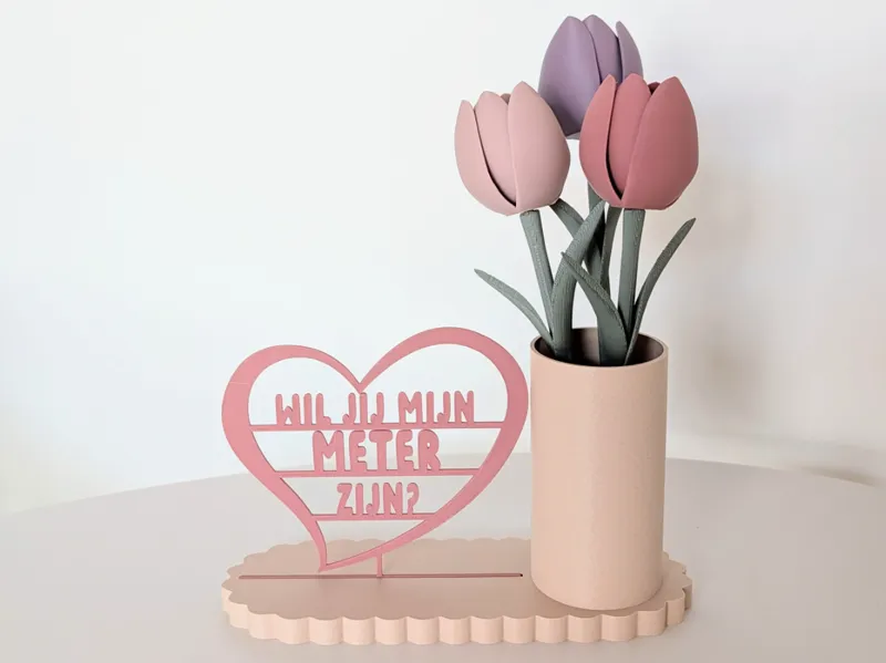 "Wil jij mijn meter zijn?" - tekst