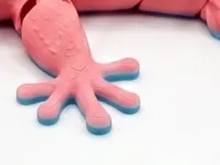 2 COLOR (BOTTOM)
