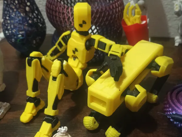 https://makerworld.bblmw.com/makerworld/model/US951eca32b6a4d6/design/2026-01-11_ff99f5db8bcde8.jpg