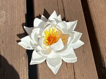 https://makerworld.bblmw.com/makerworld/model/US951fe8fcac71cf/design/685446d3d2755d23.png