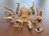 Kraken Set complete (large head + large tentacles)