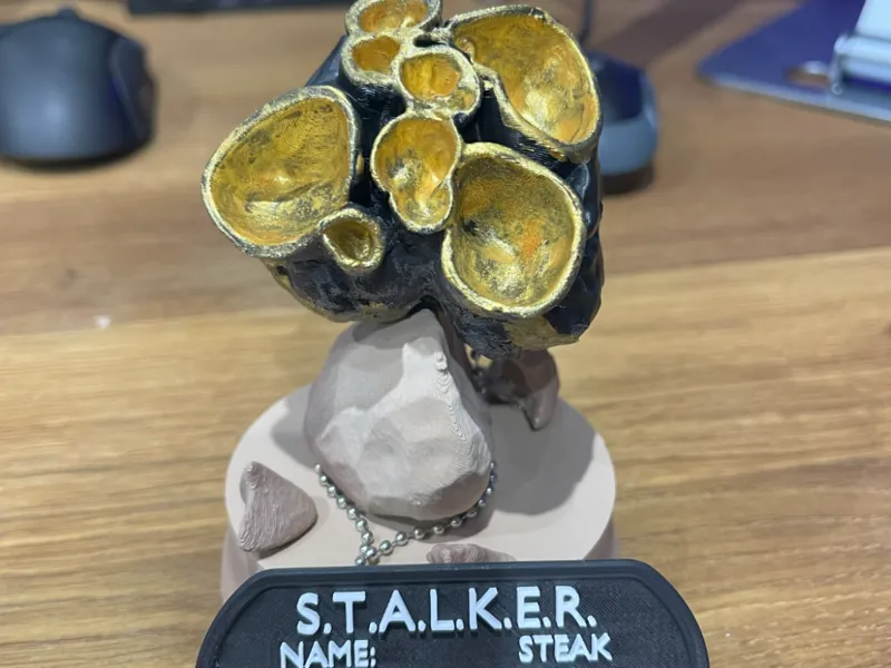 S.T.A.L.K.E.R. 2 artifact - Steak